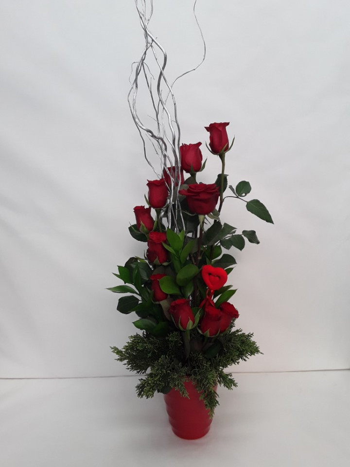 Red Roses in a pot