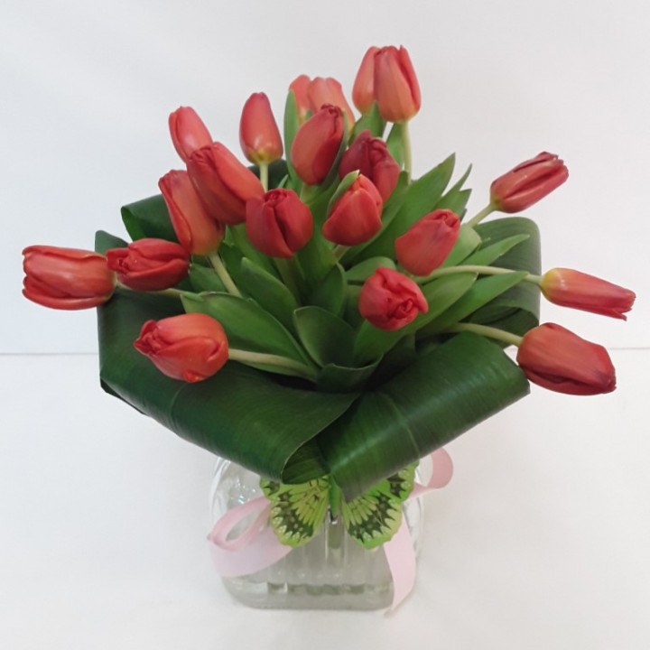 Fresh tulips in a glass