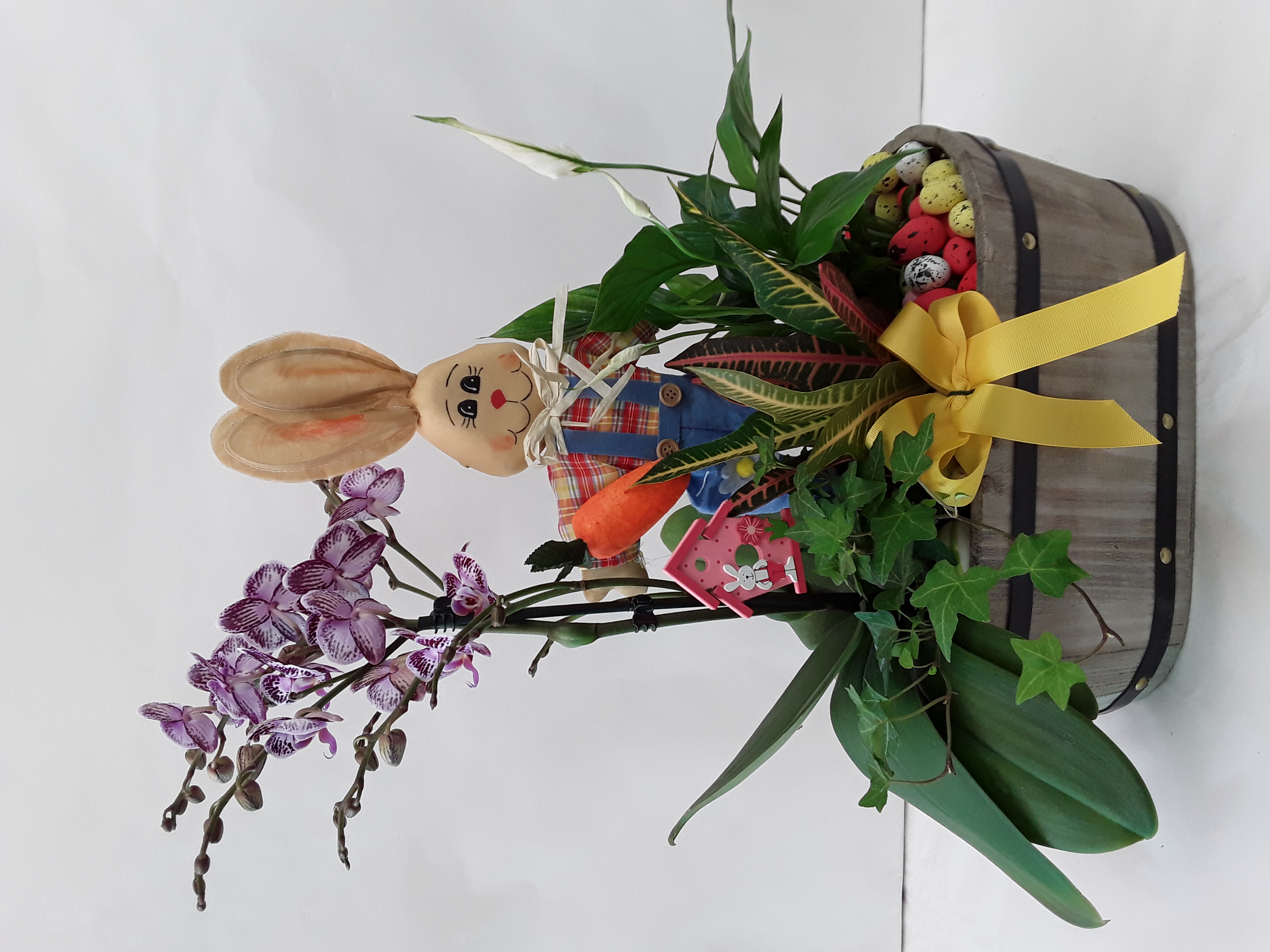 easter creation with orchid  and plants in a pot!