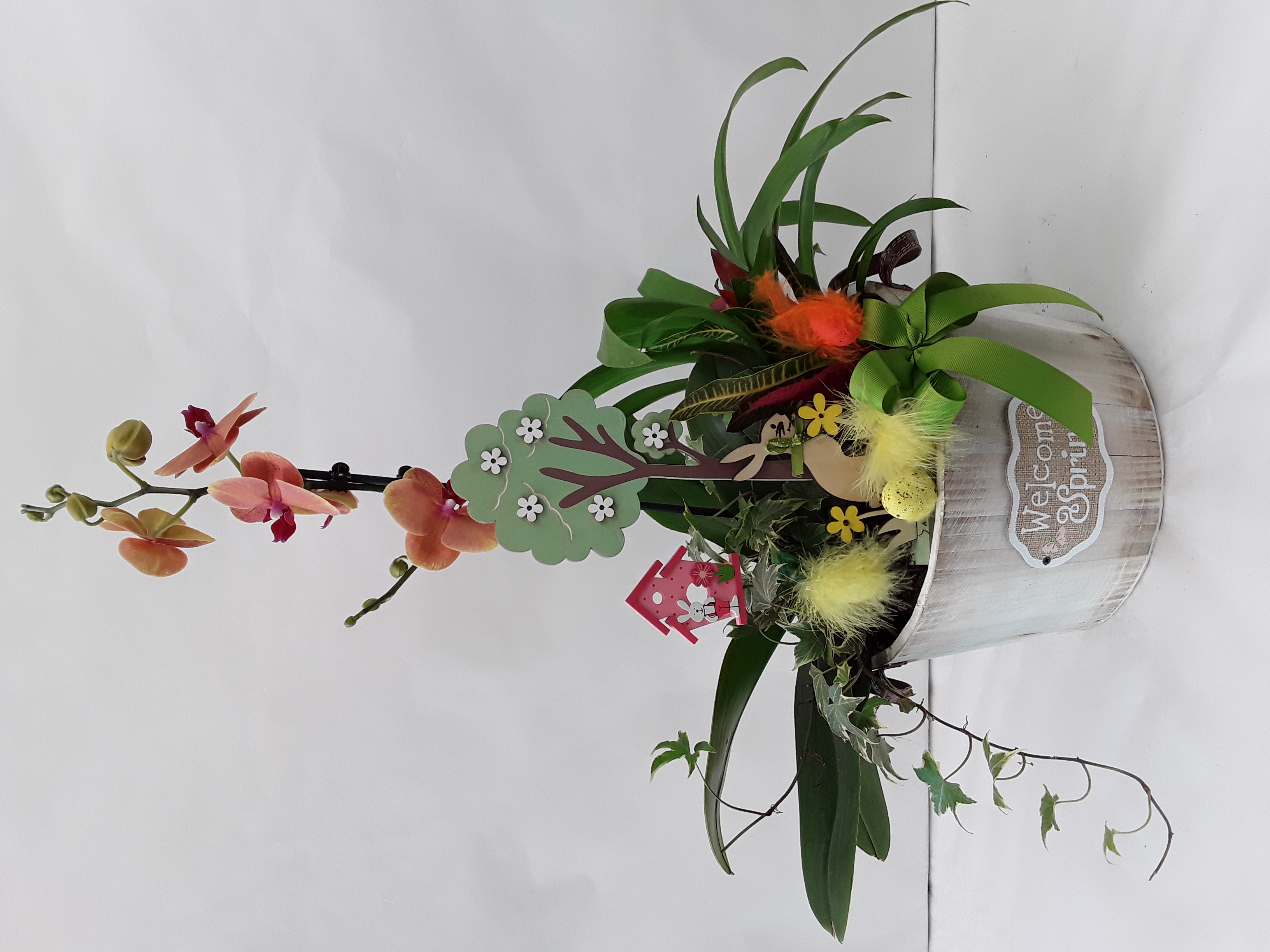 easter creation with orchid  and plants in a pot!