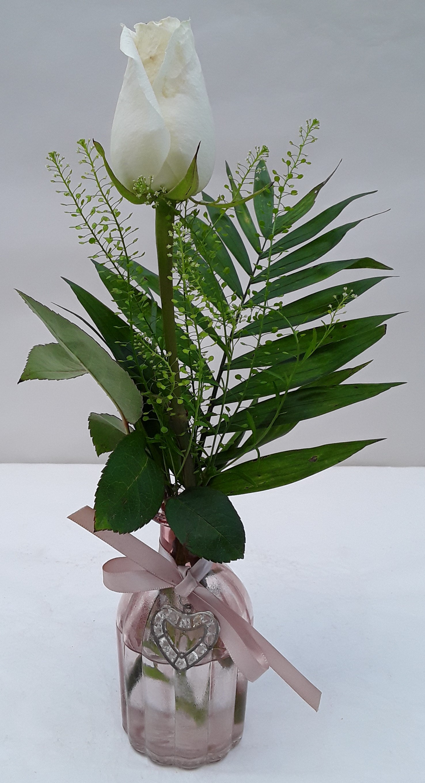 Single rose in vase