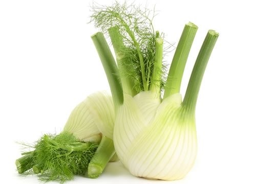 Bio Fennel 250G (~1-2 Pcs)