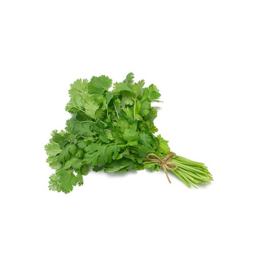 Bio Coriander Per Bunch
