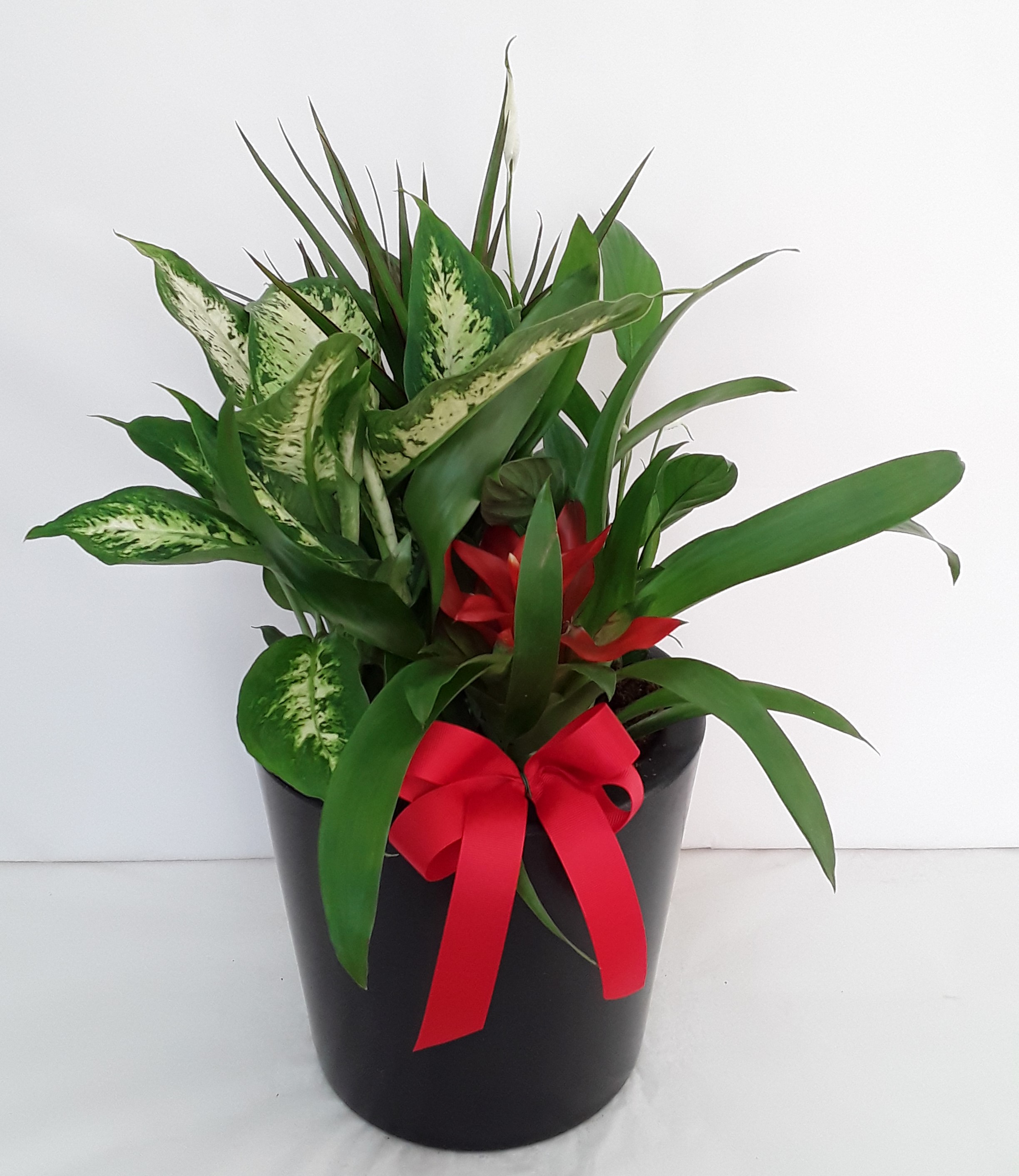 mixed flowers in a pot