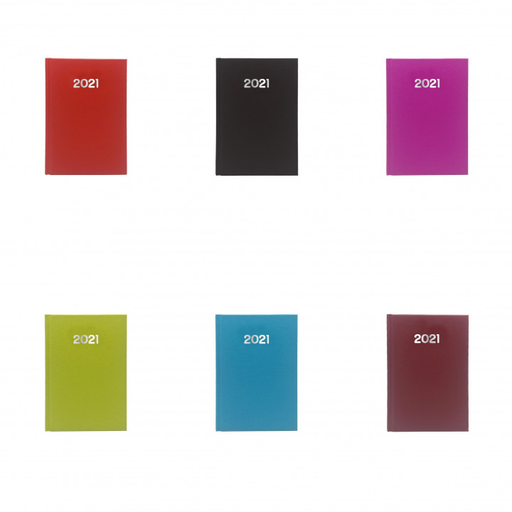 DIARY 2021 12x17 DAILY SIMPLE