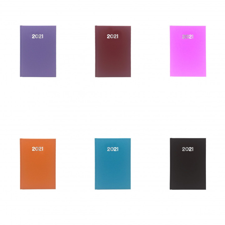 DIARY 2021 10x14 DAILY SIMPLE