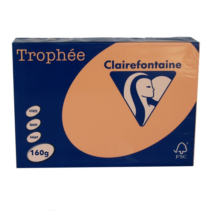 CLAIREFONTAINE TROPHEE CARDBOARDS A4 160g 250 Sheets Peach