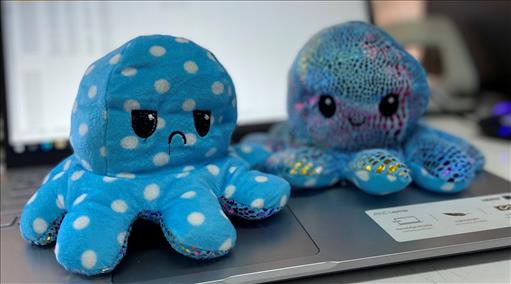 Reversible Octopus Plush Χταποδι Διπλης Οψης