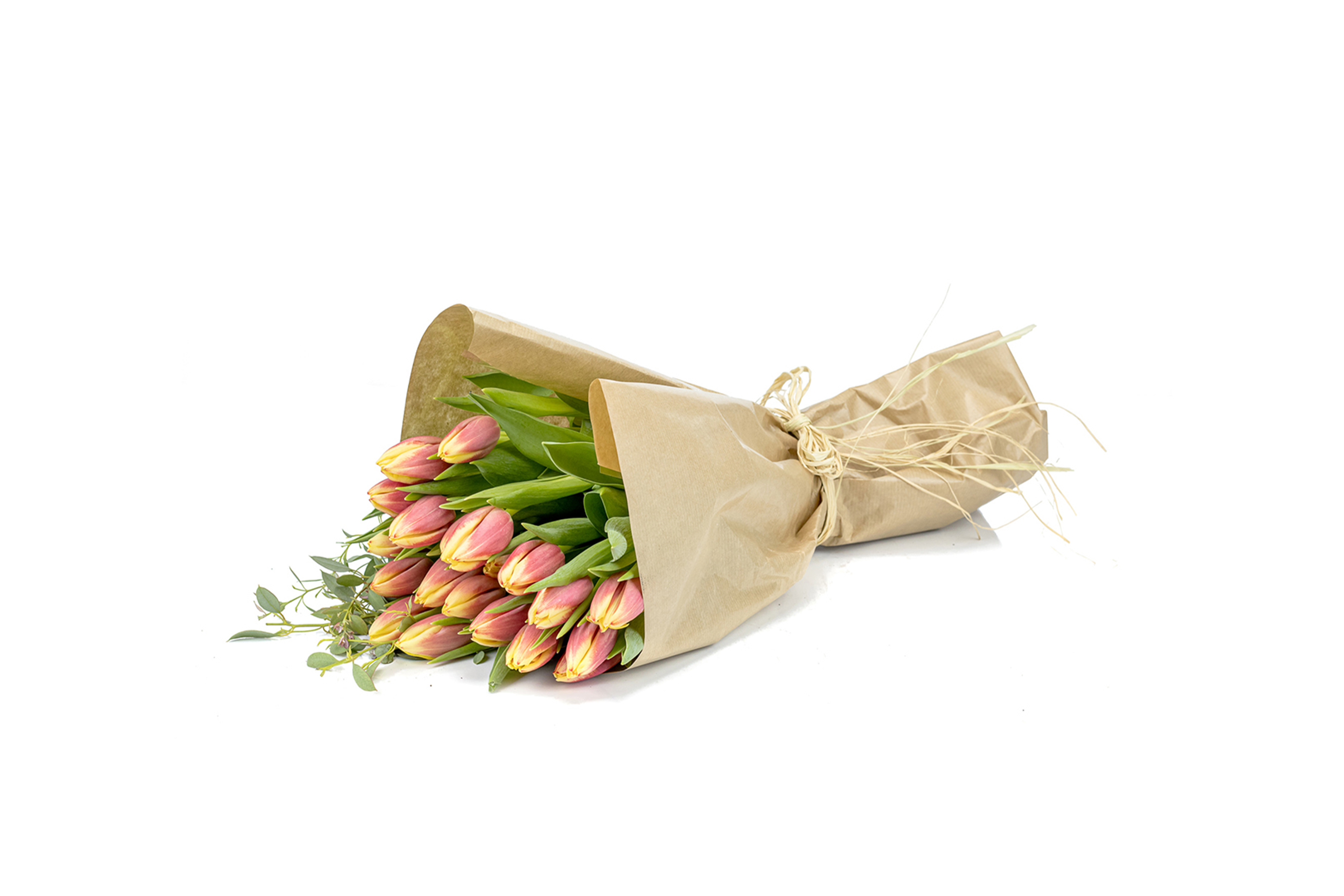 Tulip Delight No1326