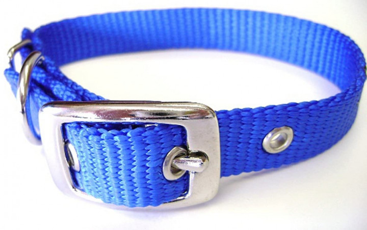 Hamilton comfort dog collar Single Thick BLUE  5/8" 18CM