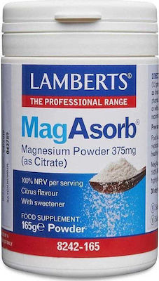 Lamberts Magasorb Magnesium Powder 375Mg 165Gr