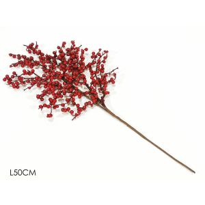 Branch With Red Berries
