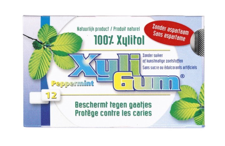 Xyligum Chewing Gum Peppermint 15Gr