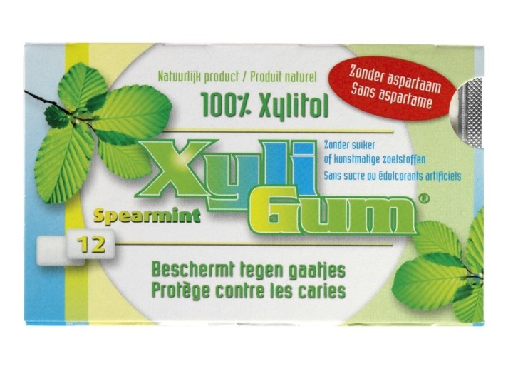 Xyligum Chewing Gum Spearmint 15Gr