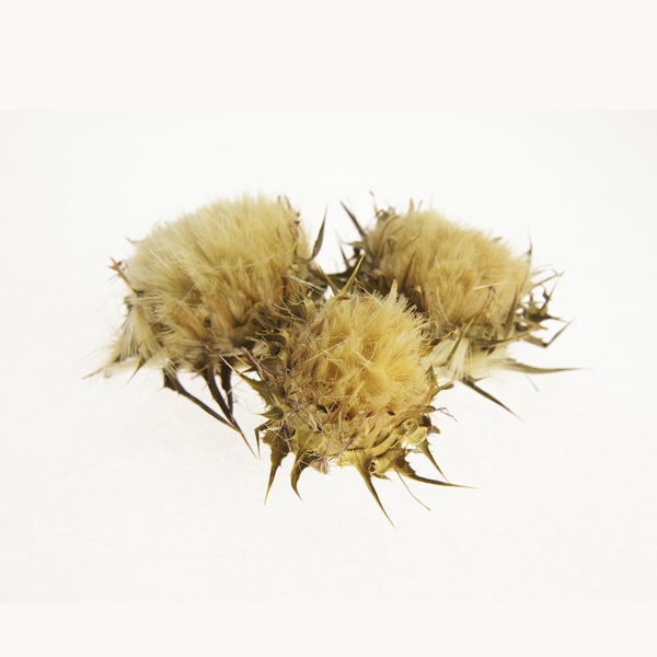 Bioiasis Milk Thistle 40G Bio