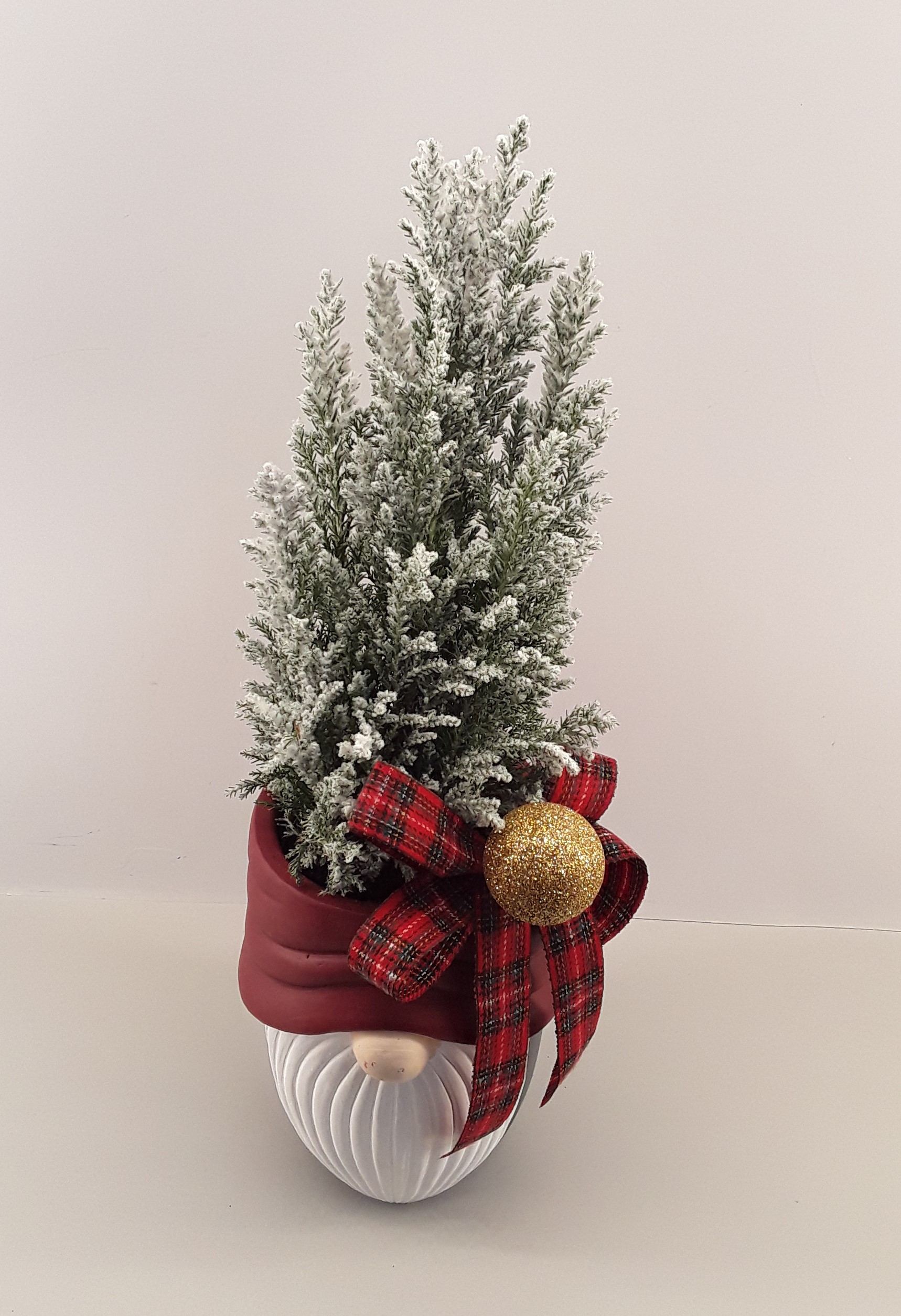 C01--Snowy fir in a Christmas pot