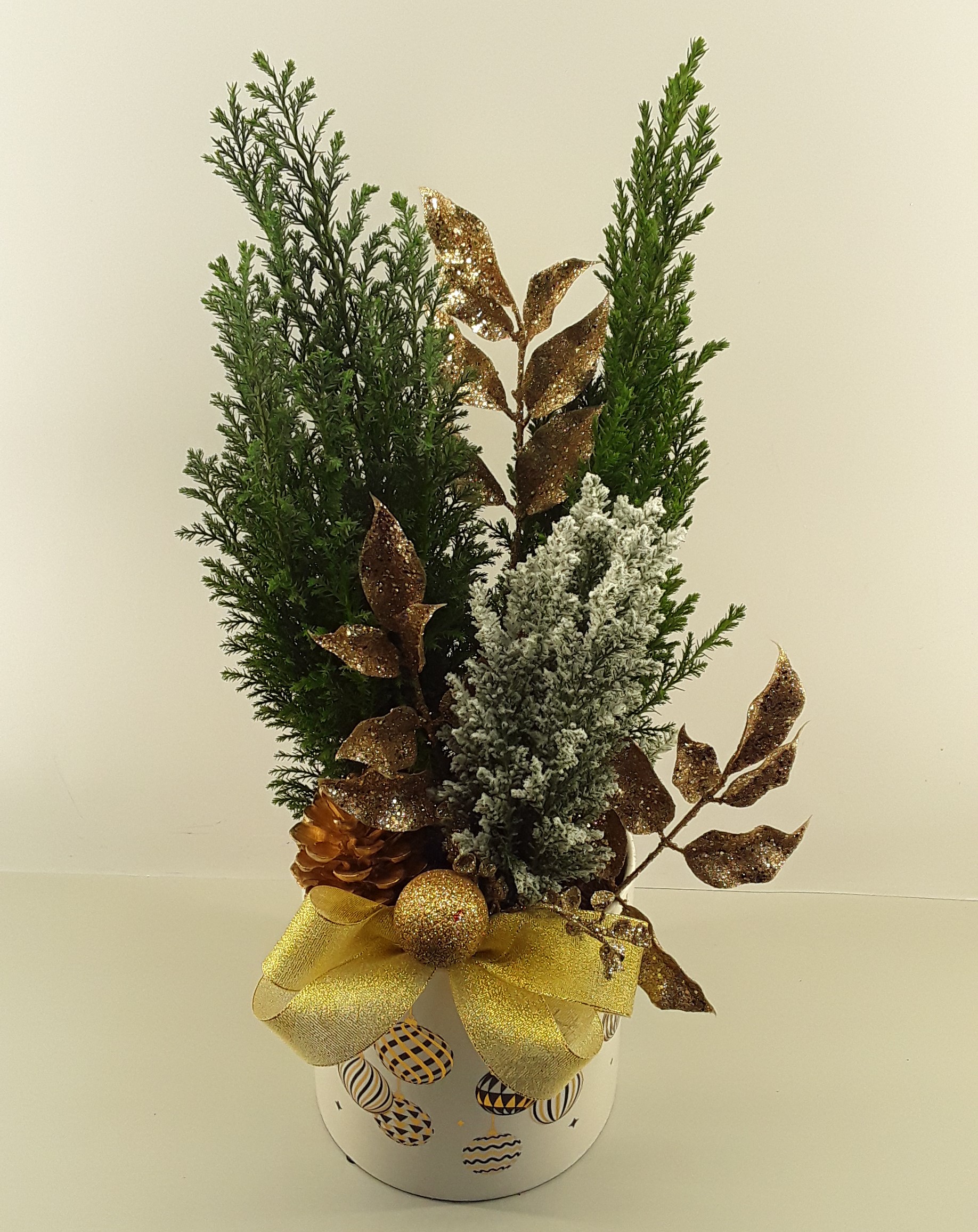 C07--Fir trees in a Christmas White pot