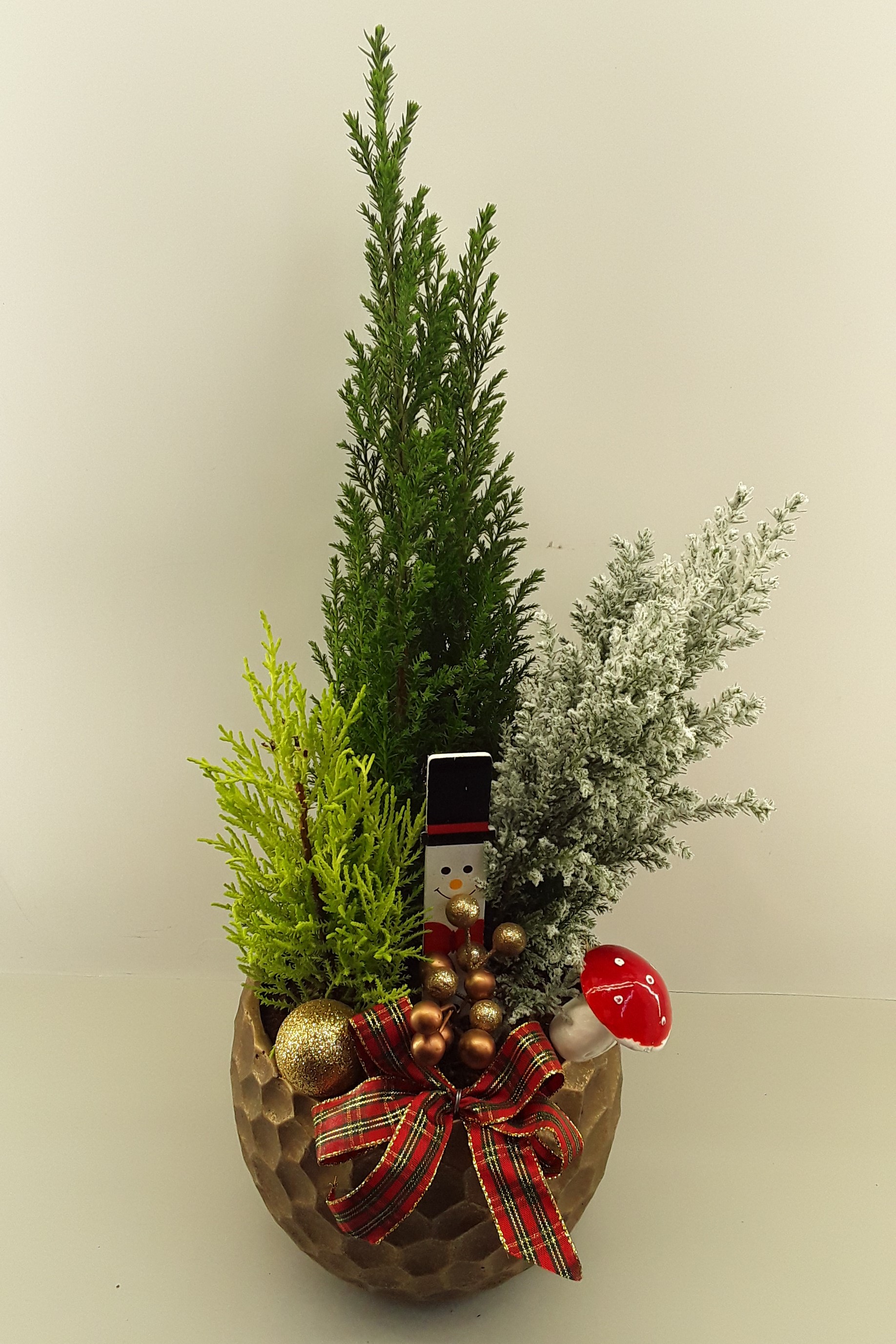 C09--Fir trees in a Christmas decoration