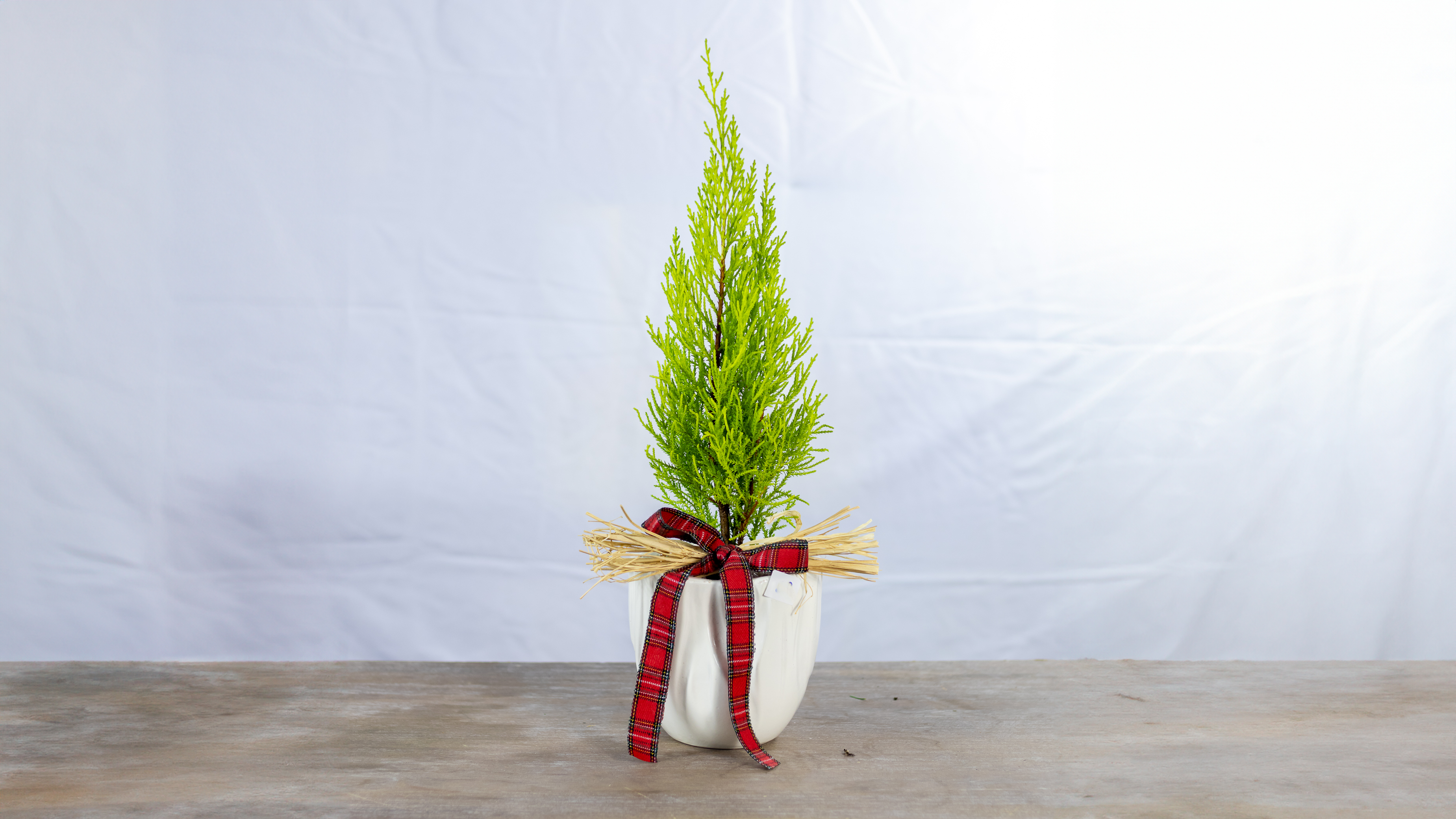 Christmas Snow Tree No2023