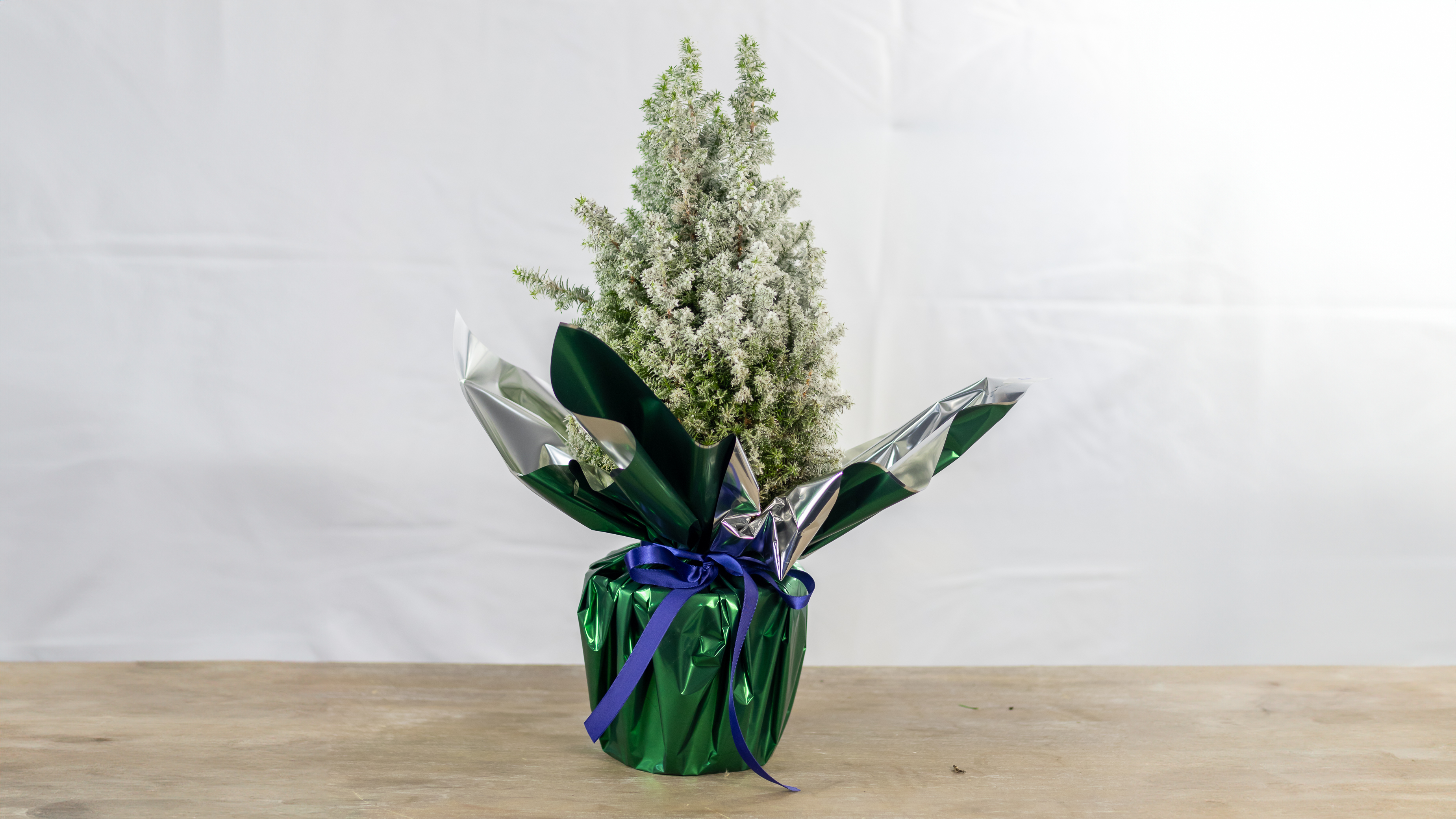 Christmas Snow Tree No2012