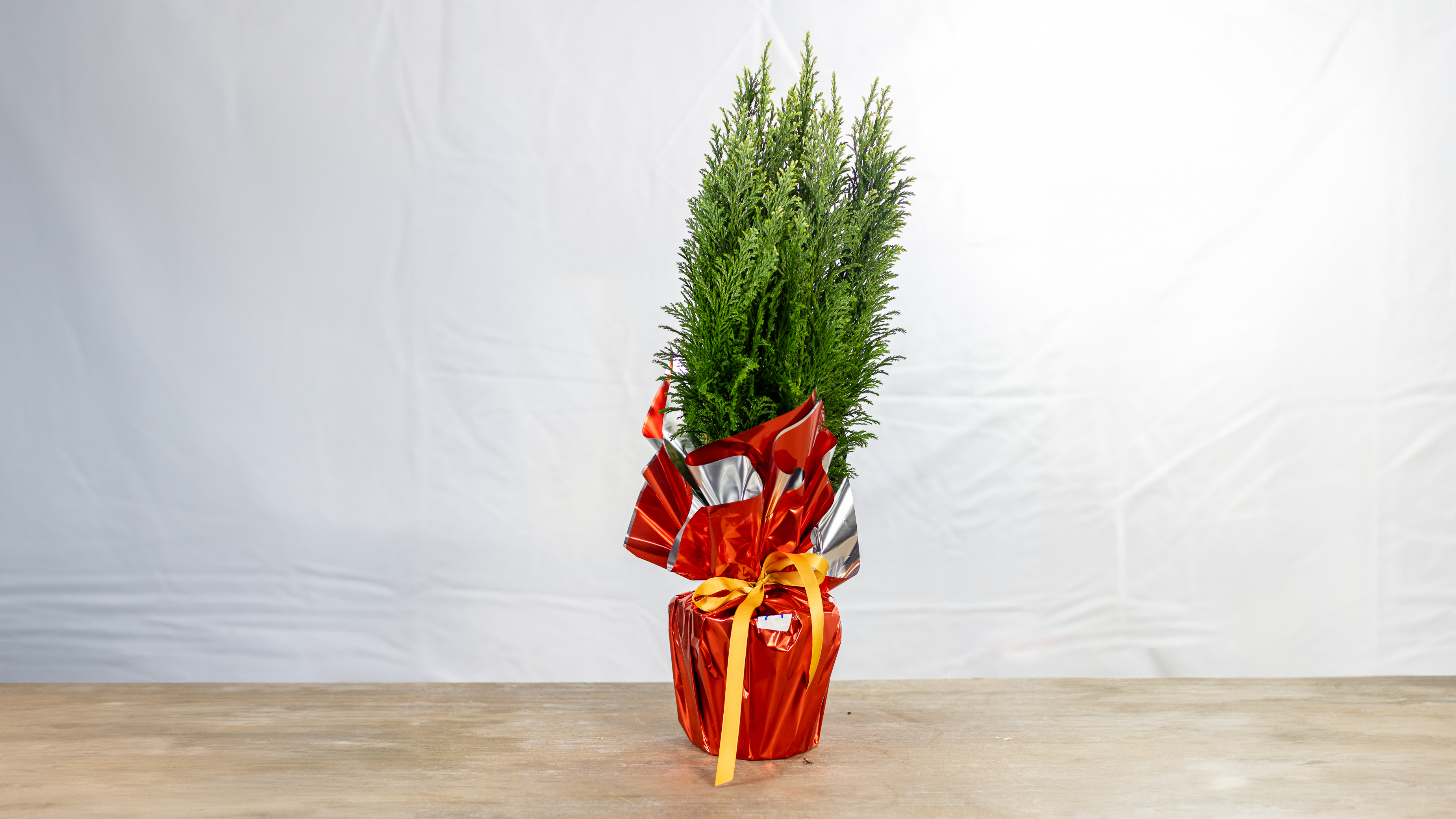 Christmas Snow Tree No2010