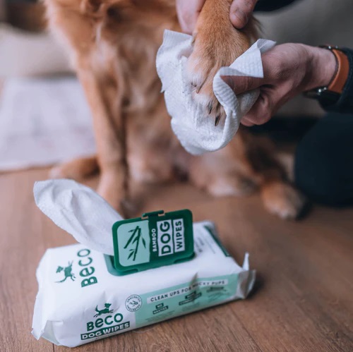 Beco Pets Bamboo Unscented Wipes 80