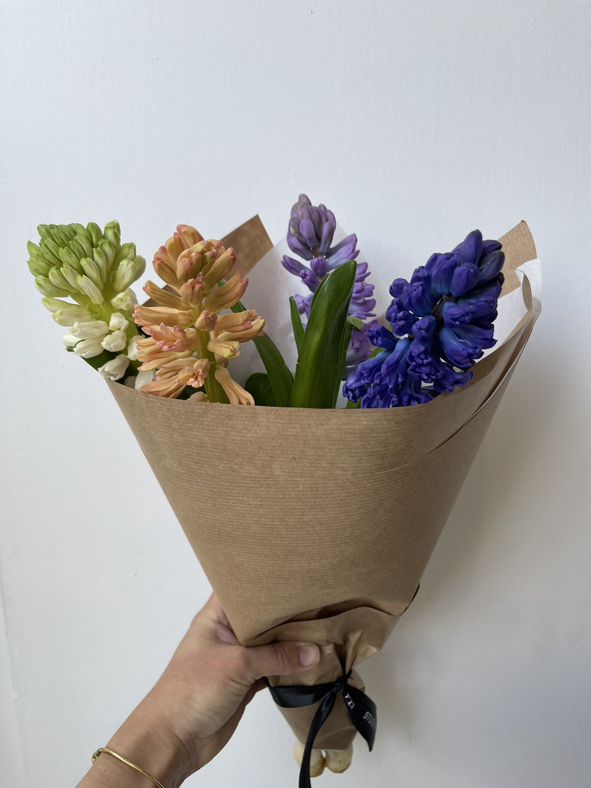 Hyacinth Mixed Colour - 4 stems
