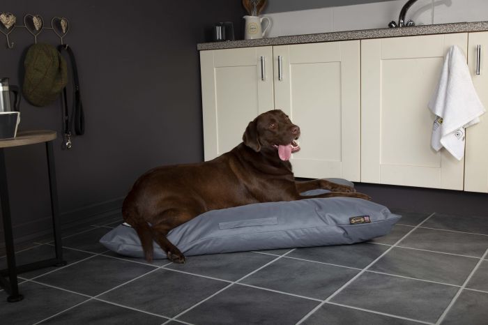 Scruffs Expedition Memory Foam Pillow Blue