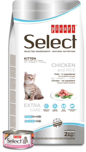 Picart Select Cat Kitten Chicken And Rice - 400gr