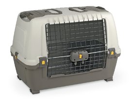 Transport Box Skudo Car