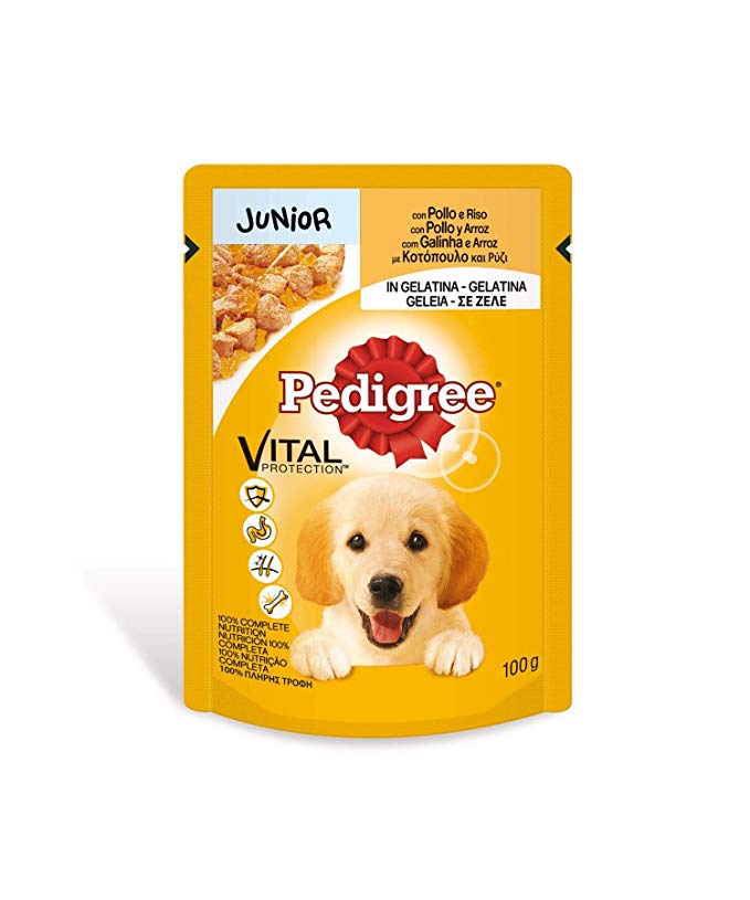 Pedigree Pouch Junior Chicken - 100gr