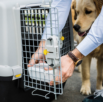 Stefanplast Water Bowl - 10gr