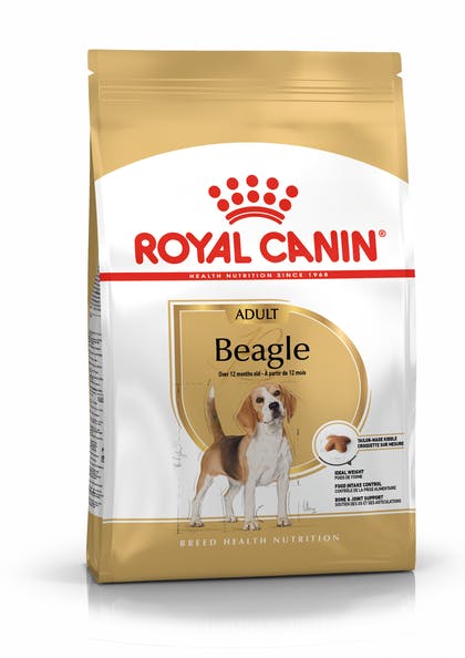 Beagle Adult - 12 Kg