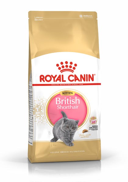 Royal Canin Kitten British Shorthair - 400gr