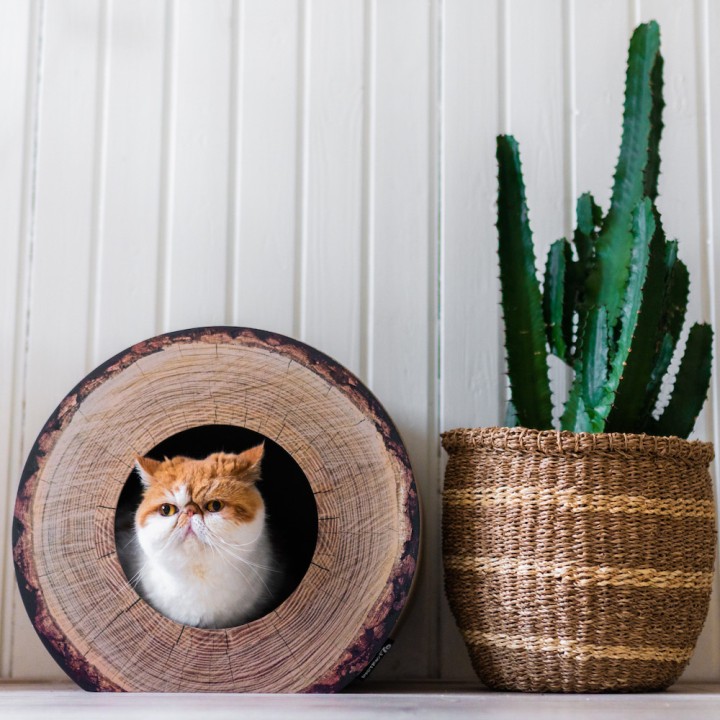 District 70 Trunk Cat Bed