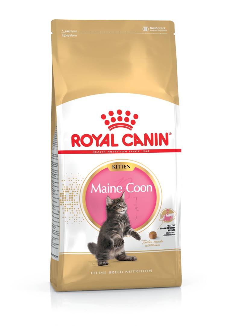 Royal Canin Maine Coon Kitten - 2 Kg