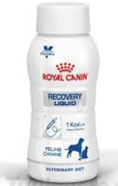 Royal Canin Recovery Dog/cat 200ml - 200gr
