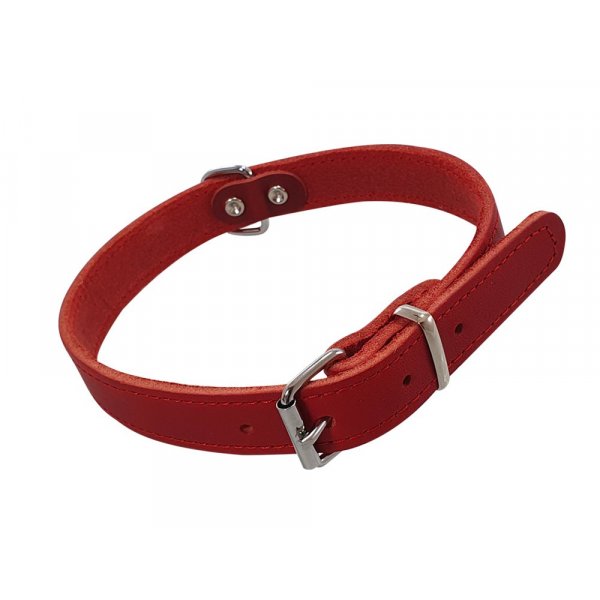 Nobby Collar Tabil - M 47 Cm