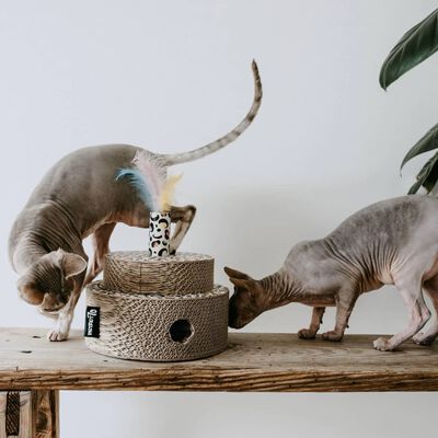 District 70 Fiesta Sprinkle Cat Toy Cardboard Multicolour - 100gr