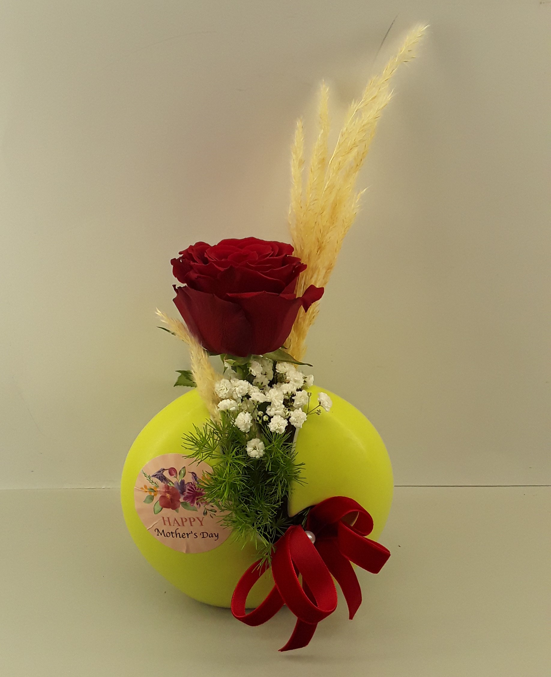 M2404--Red rose in a pot