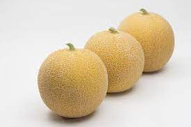 Melon 2.5kg