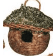 Breeding Nest Waikiki