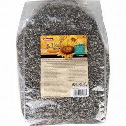 SUNFLOWER SEED SMALL STRIPPED