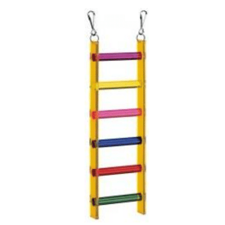 Ladder For Medium & Large Birds