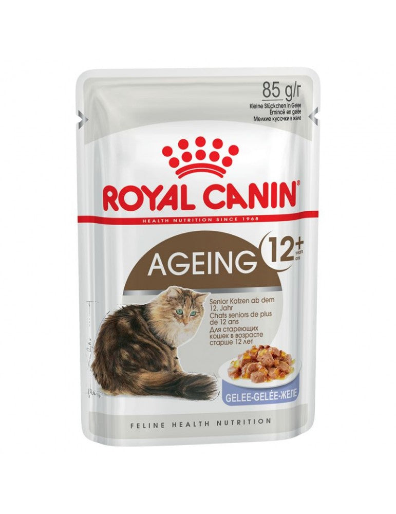 Royal Canin Cat Schesir Wet Food Ageing 12+ Jelly 12*85GR