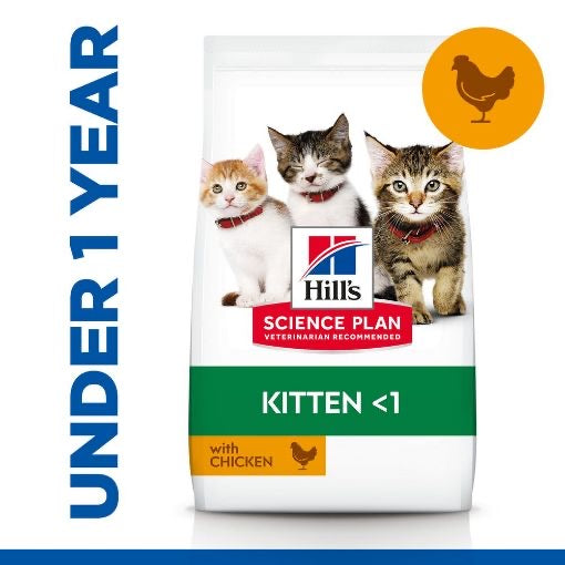 Hill'S Science Plan Kitten Food With Chicken 1.5Kg 3X85Gr Pouches Healthy Cuisine Kitten Wet Food With Chicken Free
