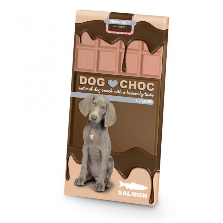 DUVO+ Dog Choc Salmon 100G