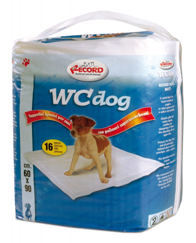 RECORD WC DOG 60*60CM