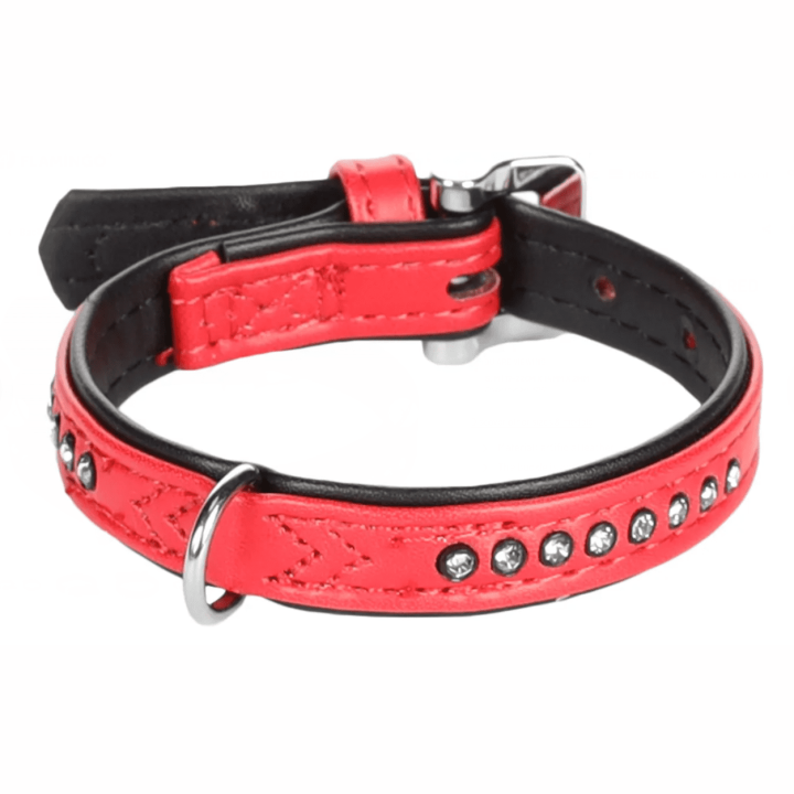 Flamingo Collar Padded Monte Carlo For Dogs