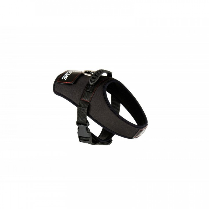 X-treme Large Harness Black